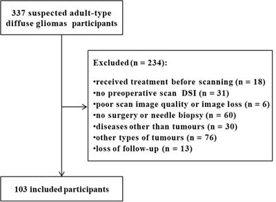 Heterogeneity matching and IDH prediction in adult-type diffuse gliomas: a DKI-based habitat analysis